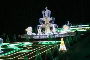 Wycieczka 62